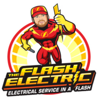 The Flash Electric WITH BORDER