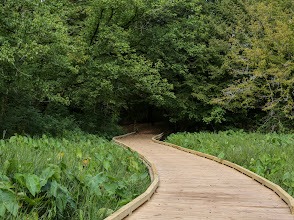 The State Botanical Garden of Georgia